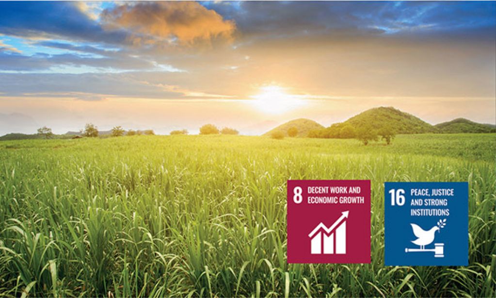 Intergrating sustainability