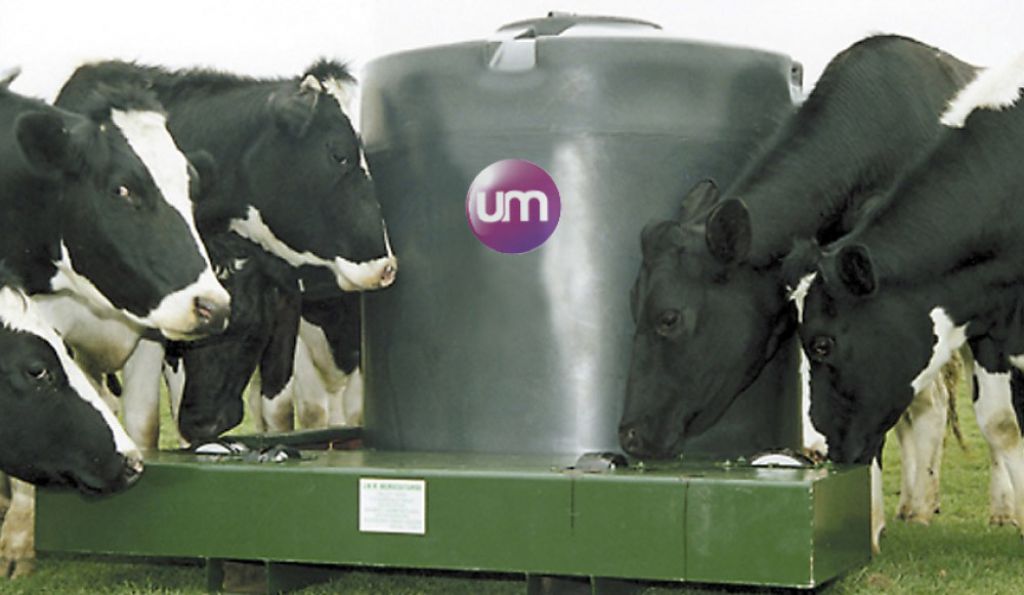 Molasses lick wheel feeders